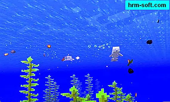 Cara menjinakkan lumba-lumba di Minecraft