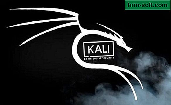Cómo usar Kali Linux