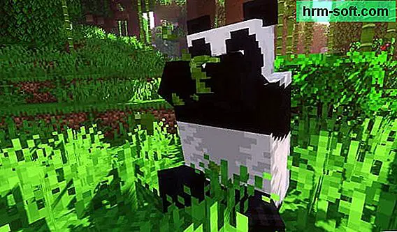 Cum să îmblânzești un panda în Minecraft