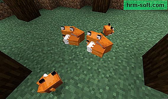 Comment apprivoiser un renard dans Minecraft