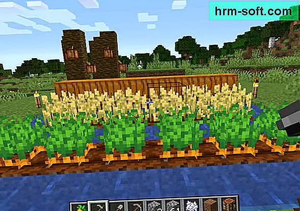 Comment cultiver dans Minecraft
