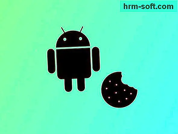 Comment activer les cookies sur Android