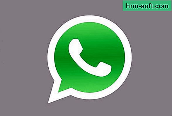 Cómo agregar un contacto en el grupo de WhatsApp