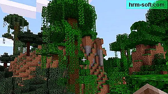 Cómo encontrar la jungla en Minecraft
