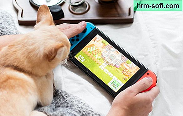 Cómo jugar Animal Crossing