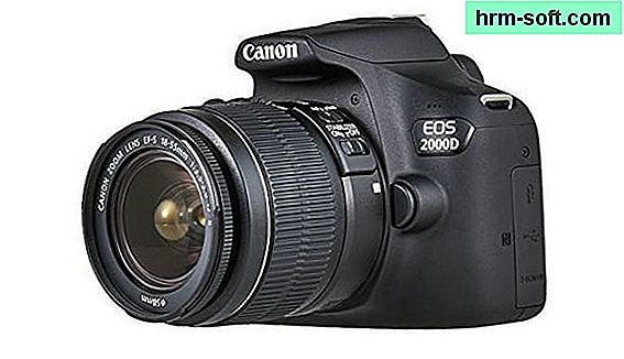 Mejor Canon SLR: Guía de compra