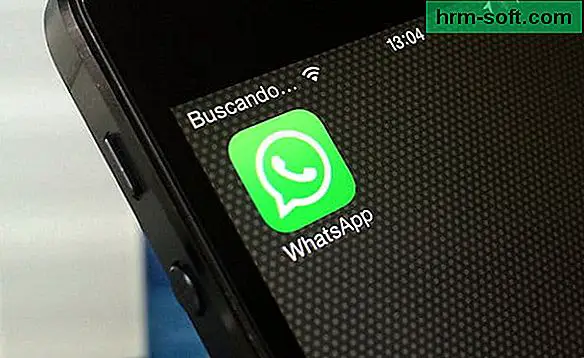 ¿Cómo usas WhatsApp?