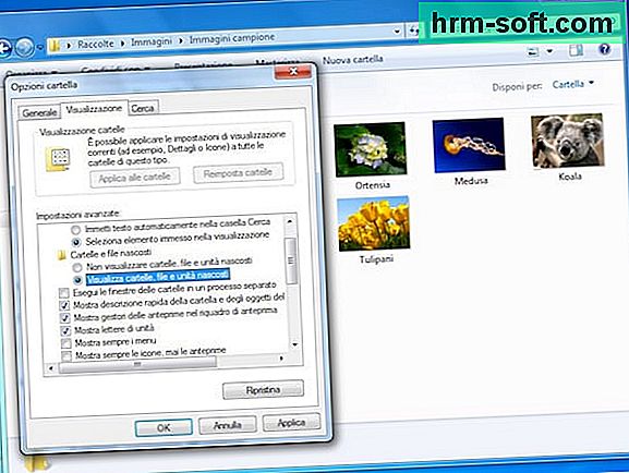 Trong khi đi qua mê cung của chiếc máy tính yêu quý được cài đặt Windows 7, bạn đã đồng ý rằng một số thư mục trước đây ở đó, có sẵn và hiển thị rõ ràng, giờ dường như đã đột ngột biến mất.