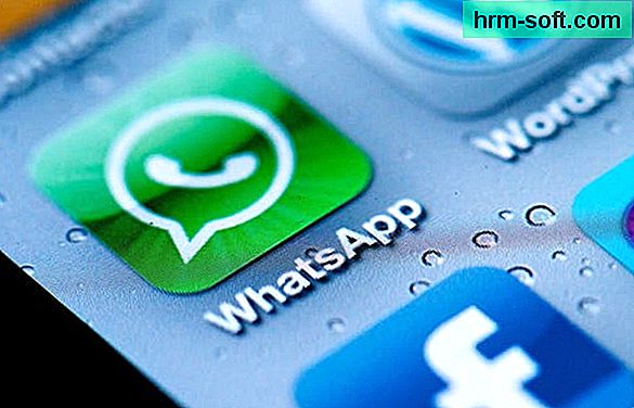 Comment masquer les contacts WhatsApp