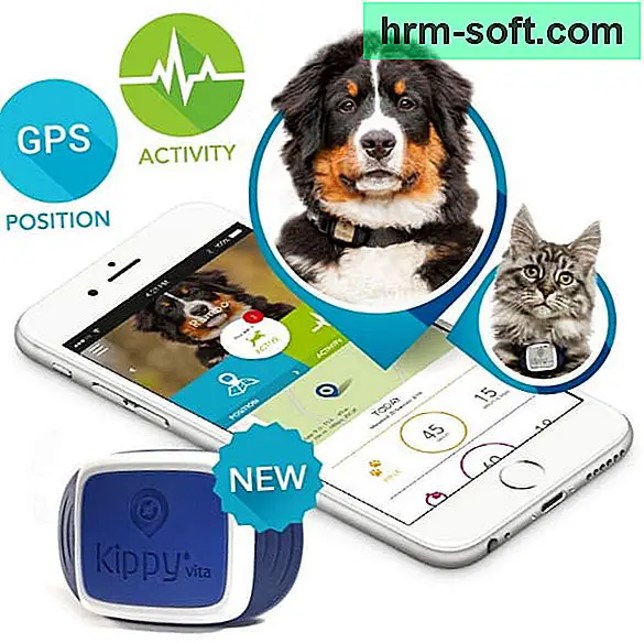 tracker, fi, modul, localizator, timp, dispozitiv, real, prin, exemplu, vehicul, câine, oameni, sport, permite, autonomie