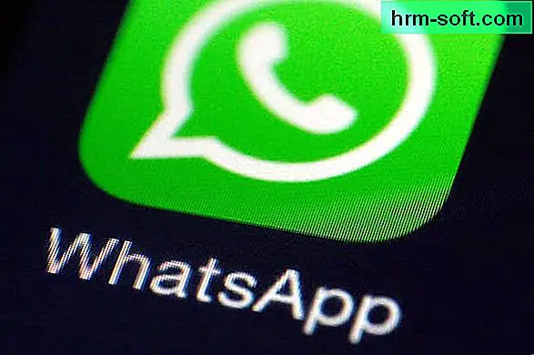 Comment contacter WhatsApp