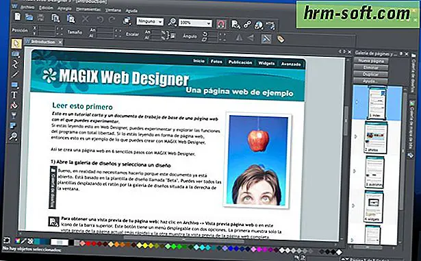 Programas de web designer