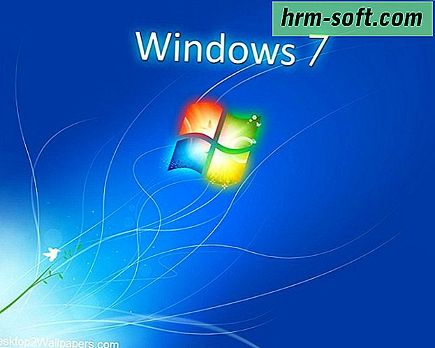Programe pentru Windows 8 sisteme de operare