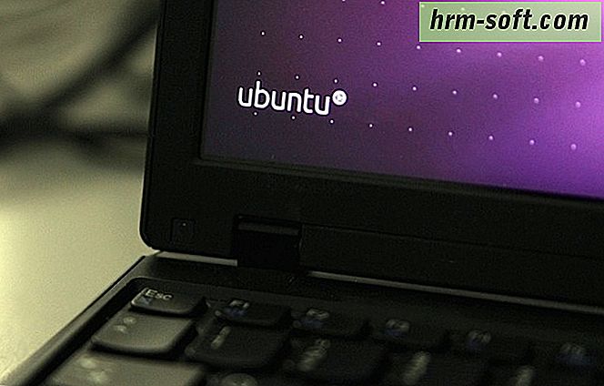 Ubuntu - Télécharger