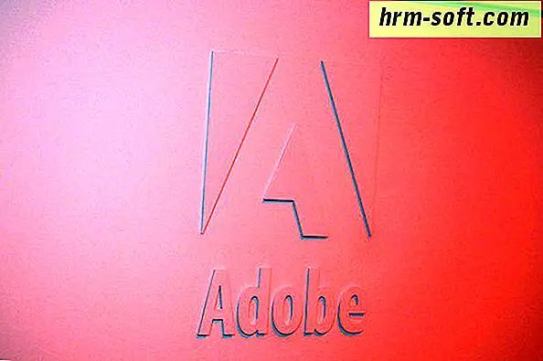 Cách tải xuống Phần mềm Adobe