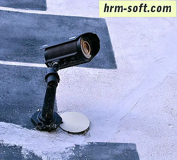 Webcam trực tiếp